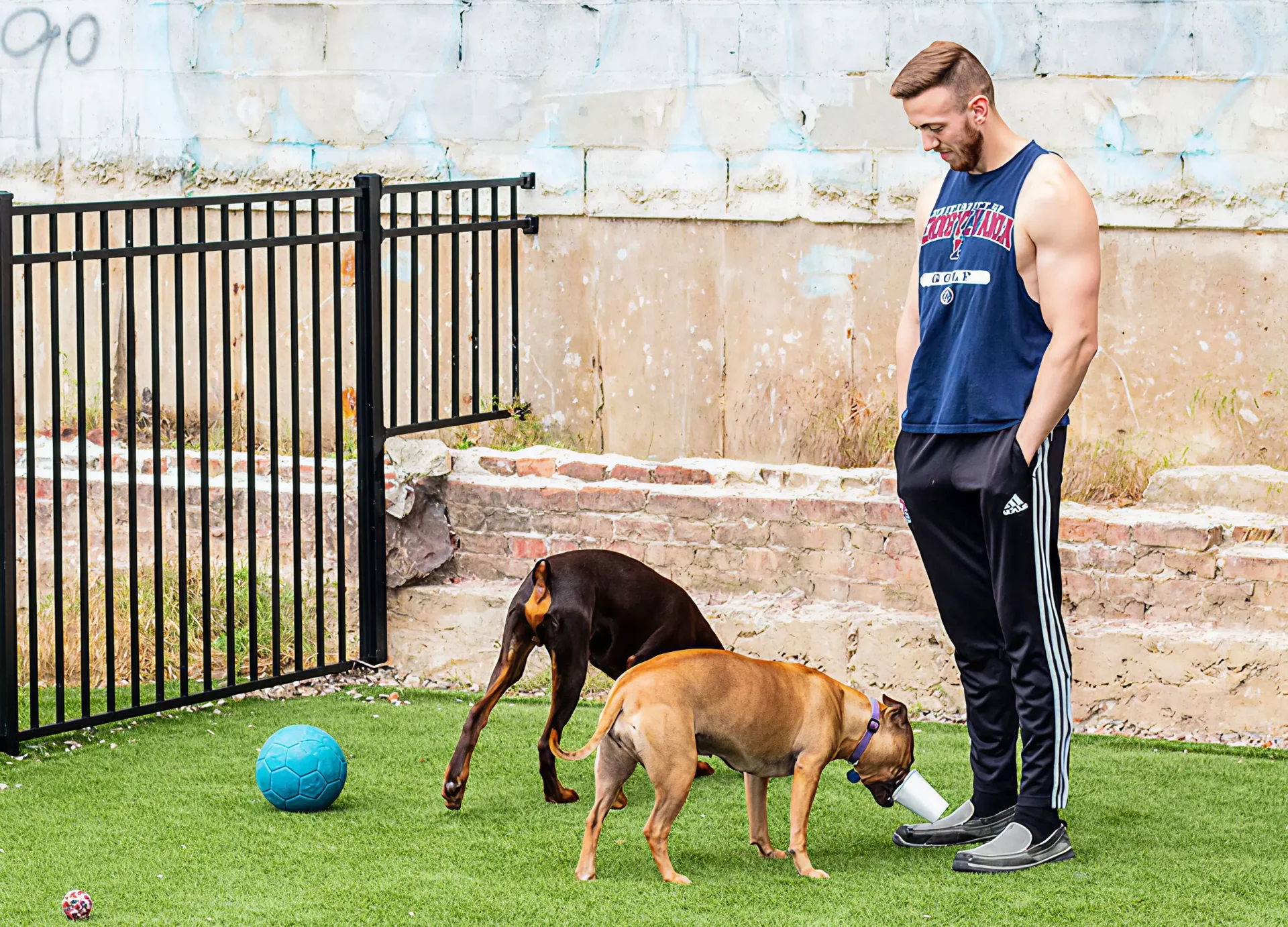 TheHubat31Brewerytown pet