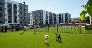 TheHubat31Brewerytown pet park